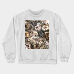 Hedgehogs Crewneck Sweatshirt